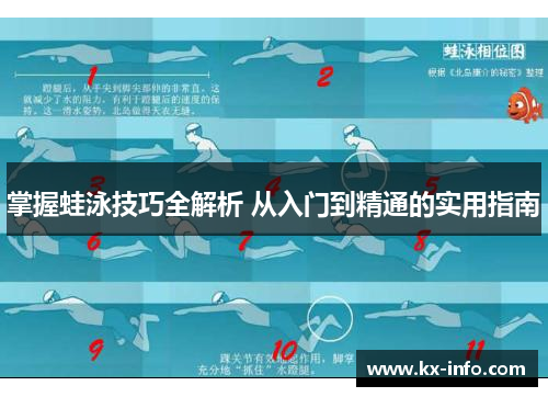 掌握蛙泳技巧全解析 从入门到精通的实用指南