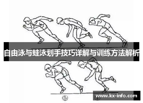 自由泳与蛙泳划手技巧详解与训练方法解析